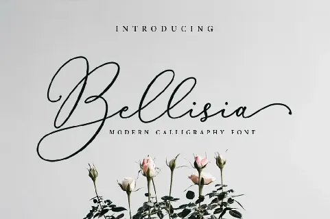 Bellisia font