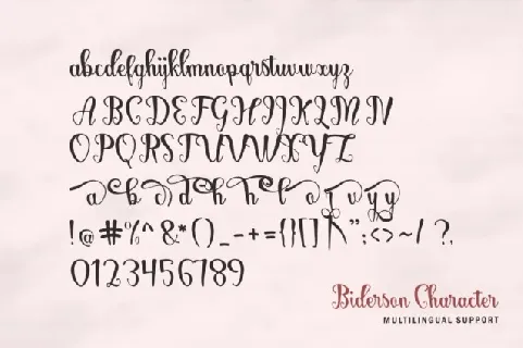 Biderson Script font