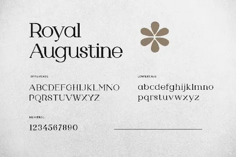 Royal Agustine font