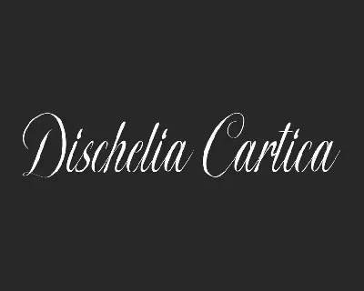 Dischelia Cartica font