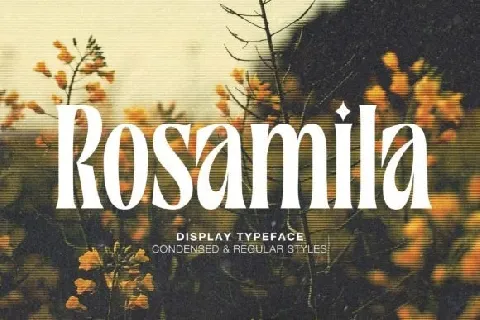 Rosamila font