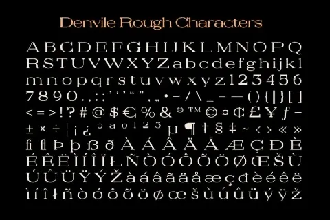 Denvile Rough font