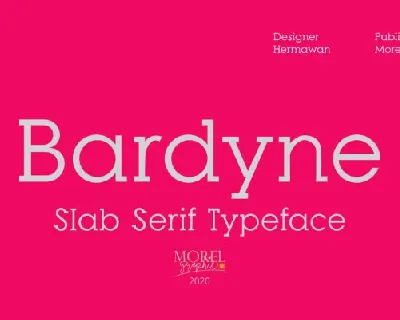 Bardyne Slab Serif Typeface font