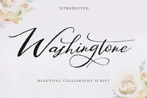Washingtone font