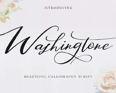 Washingtone font