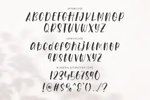 Chickyplum font