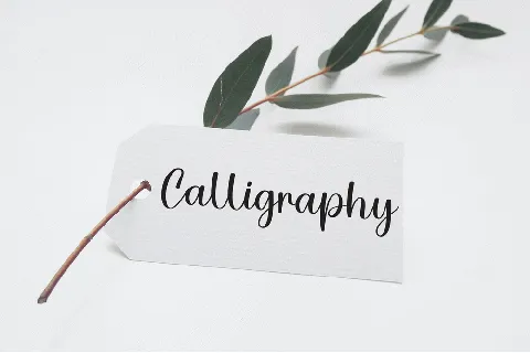 Holiday Calligraphy Typeface font
