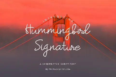 Hummingbird Handwritten font