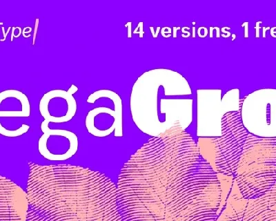 Zega Grotâ„¢ font