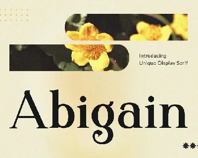 Abigain font