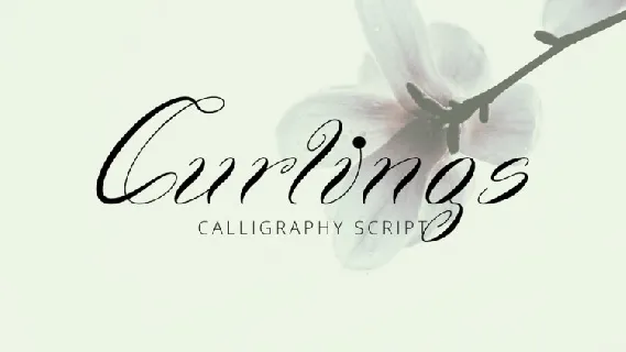 Curlings Calligraphy font