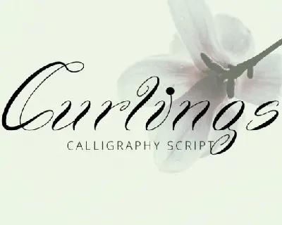 Curlings Calligraphy font