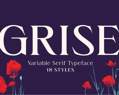 Grise font