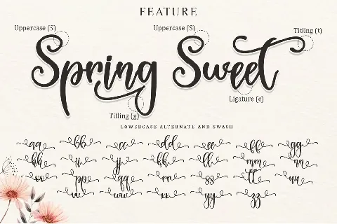 Spring Sweet - Personal Use font