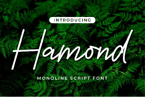 Hamond font