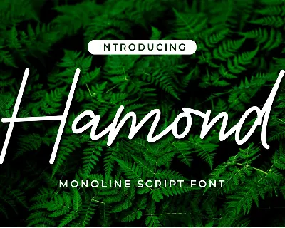 Hamond font