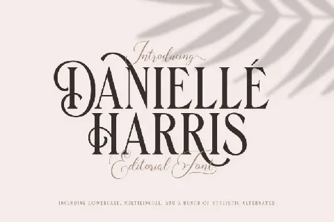 Danielle Harris Display font