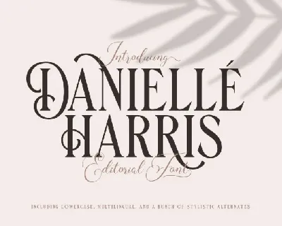 Danielle Harris Display font