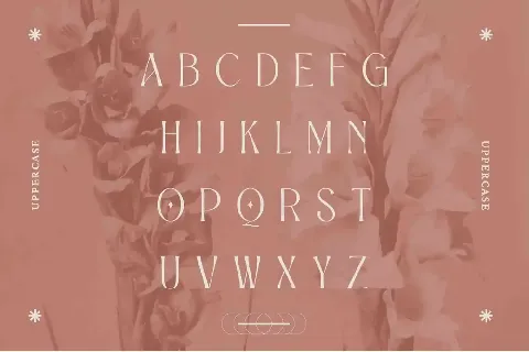 Alexang Display font