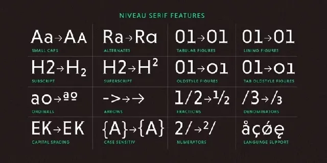 Niveau Serif Family font