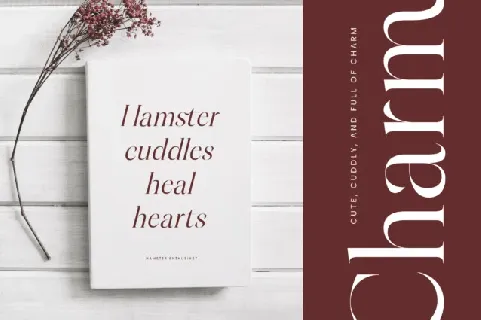 Hamster Typeface font