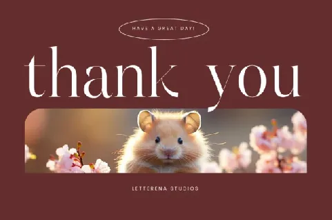 Hamster Typeface font