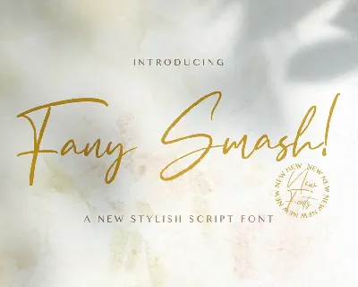 Fany Smash font