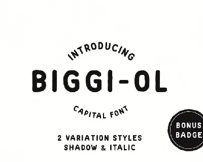 Biggi Ol Display font