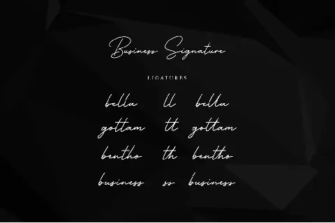 Business Signature font