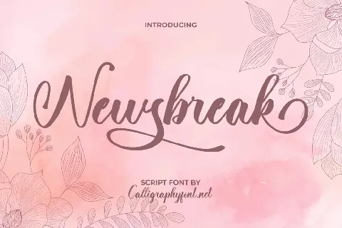 Newsbreak Demo font