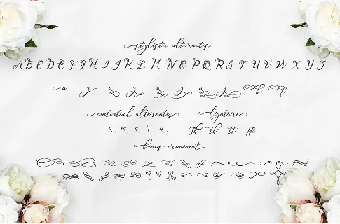 Nazeefa font