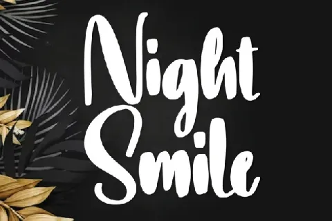 Night Smile Script font