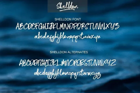 Shelldon font