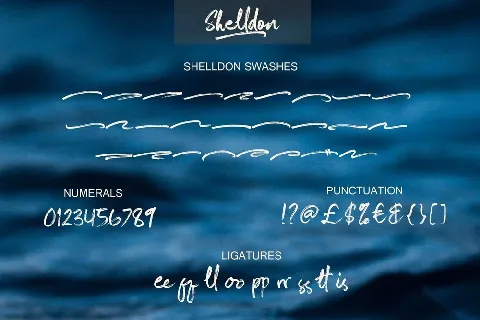 Shelldon font