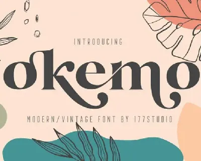 Okemo â€“ Modern Serif font
