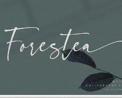 Forestea Modern Calligraphy font