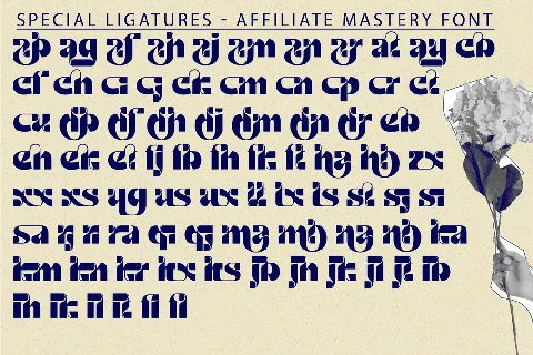 affiliate mastery demo font