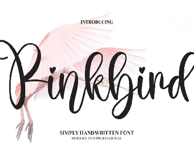 Pinkbird font
