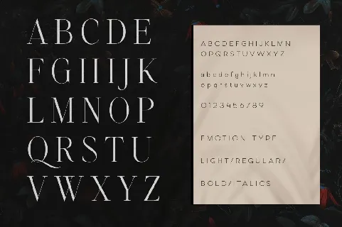 Emotive Type font