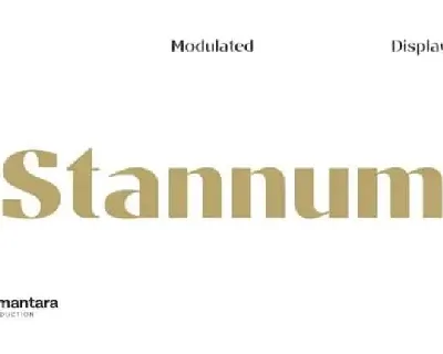 Stannum Sans Serif font
