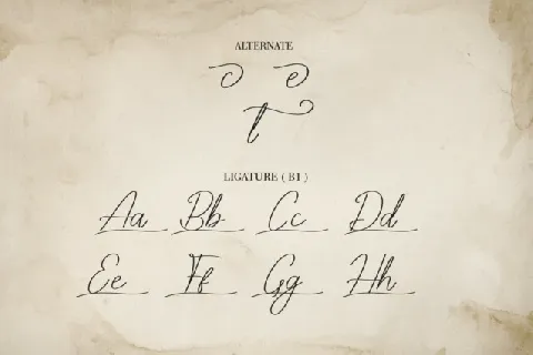 Antique Script Typeface font