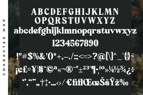 Mistys Relrica DEMO VERSION font