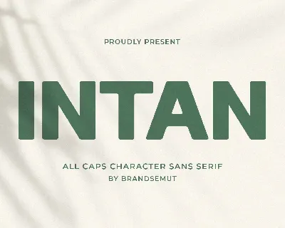 Intan font