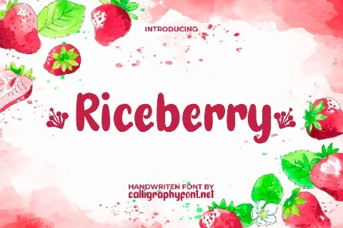 RiceberryDemo font