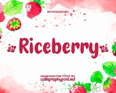 RiceberryDemo font
