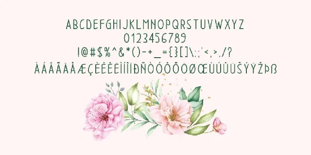 Bikiron font