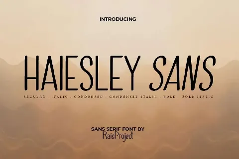 Haiesley Sans Demo font