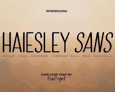 Haiesley Sans Demo font