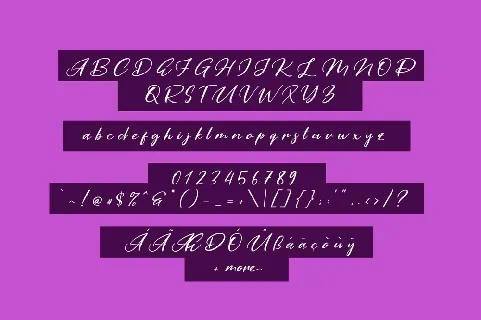 Purple Pen font