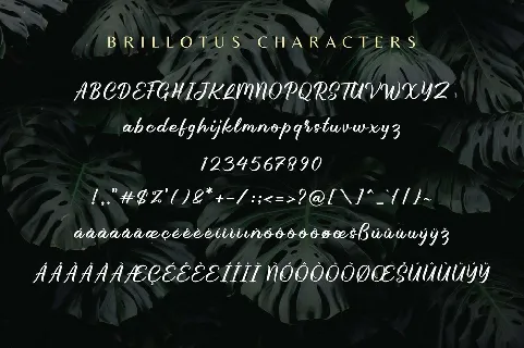 Brillotus font